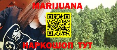 гашик Гатчина