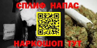 гашик Гатчина