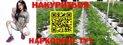 гашик Гатчина