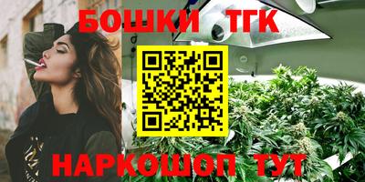 гашик Гатчина