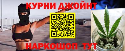 гашик Гатчина